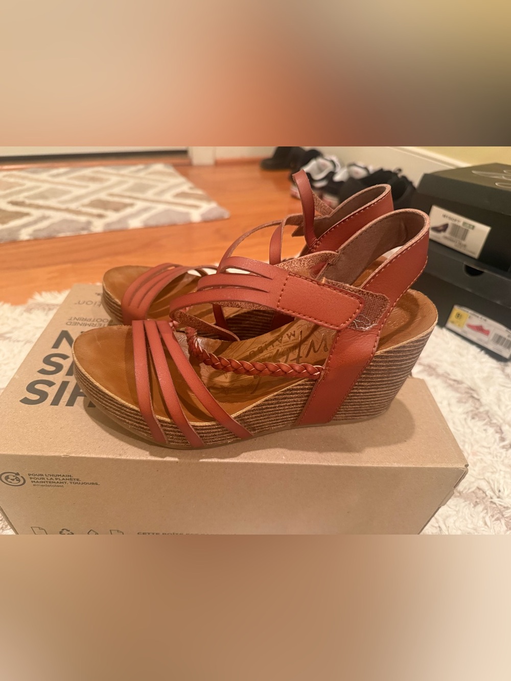 Wedge Sandals in Chestnut Brown - Strappy Comfort